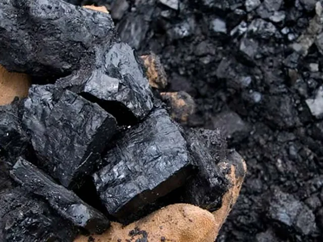 چگونه زغال سنگ تشکیل می شود