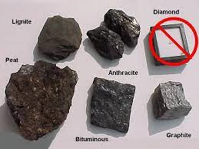 همه انواع زغال سنگ